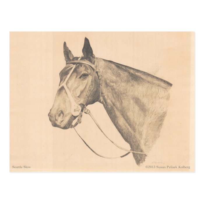 Seattle Slew by Susan Pelisek Kolberg Post Card