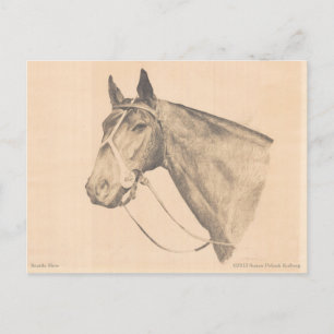 Seattle Slew by Susan Pelisek Kolberg Postcard