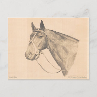 Seattle Slew by Susan Pelisek Kolberg Postcard