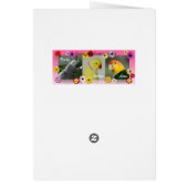 Seattle Slew Thoroughbred 1978 (Back)