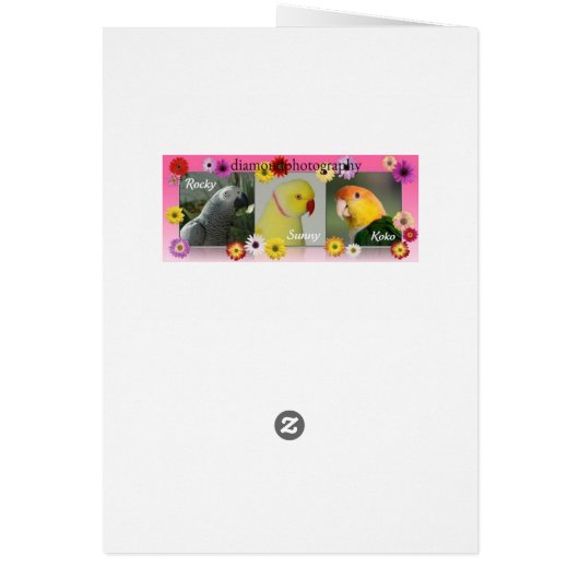 Seattle Slew Thoroughbred 1978 (Back)