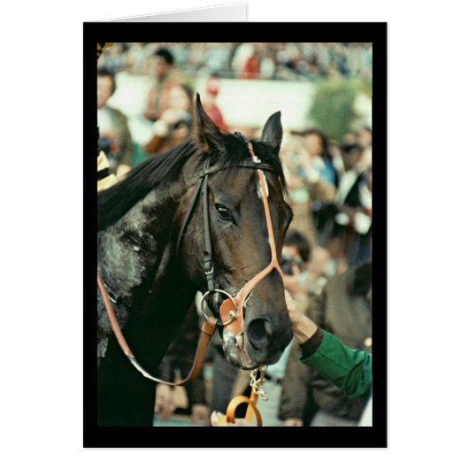 Seattle Slew Thoroughbred 1978 Cards (Front)