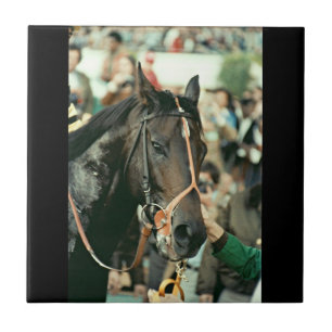 Seattle Slew Thoroughbred 1978 Tile