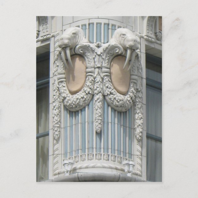 Seattle Walrus Postcard (Front)