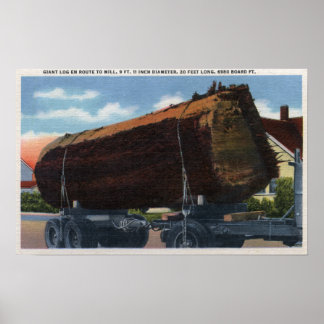 Seattle, WashingtonGiant Log en route to Mill Poster