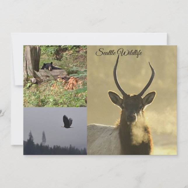 Seattle Wildlife Invitation (Front)