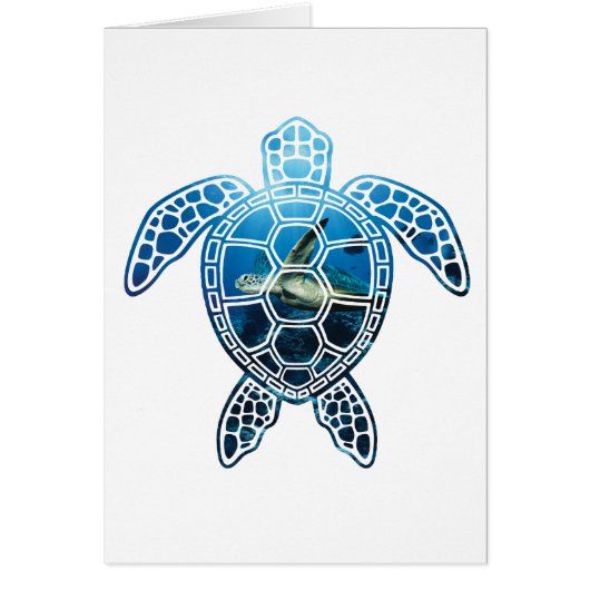seaturtle-2 (Front)