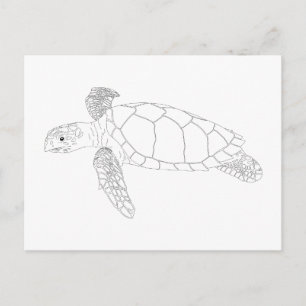 Seaturtle Adult Coloring Postcard