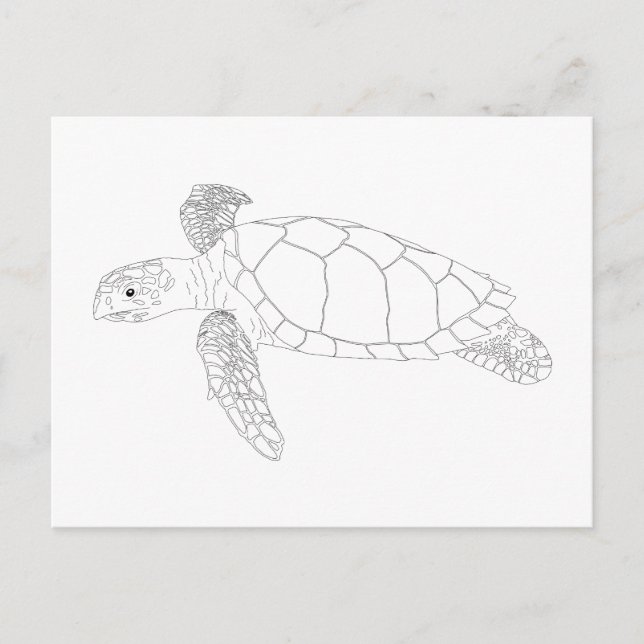 Seaturtle Adult Coloring Postcard (Front)