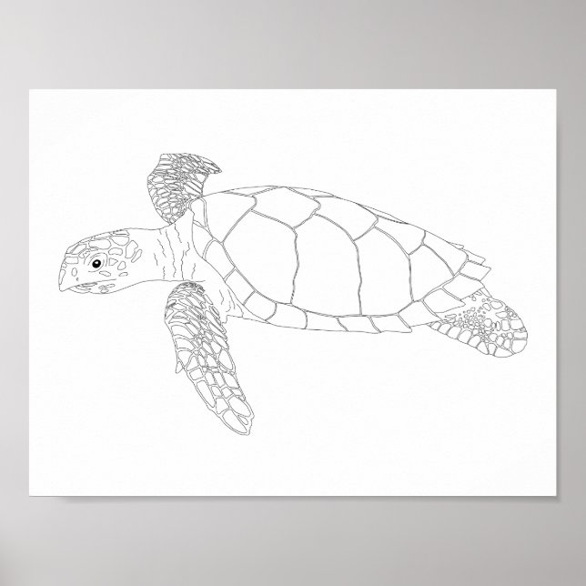 Seaturtle Adult Coloring Poster (Front)