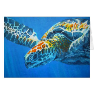 seaturtle cards