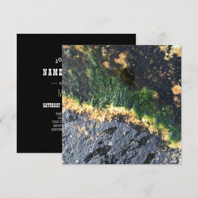 seawall seaweed maine invitation (Front/Back)