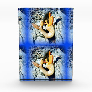 seaward gazing mermaids award