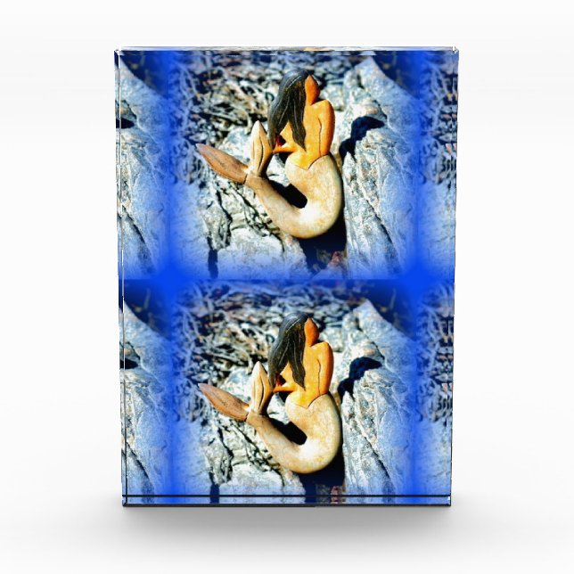 seaward gazing mermaids award (Front)
