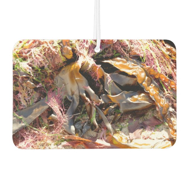 SEAWEED AIR FRESHENER (Front)