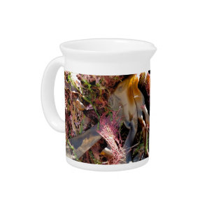 SEAWEED BEVERAGE PITCHER