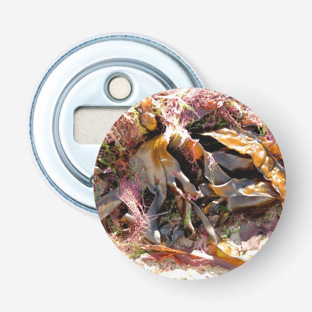 SEAWEED BOTTLE OPENER (Front)