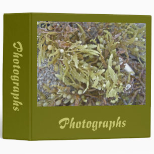 Seaweed Coordinating Items 3 Ring Binder