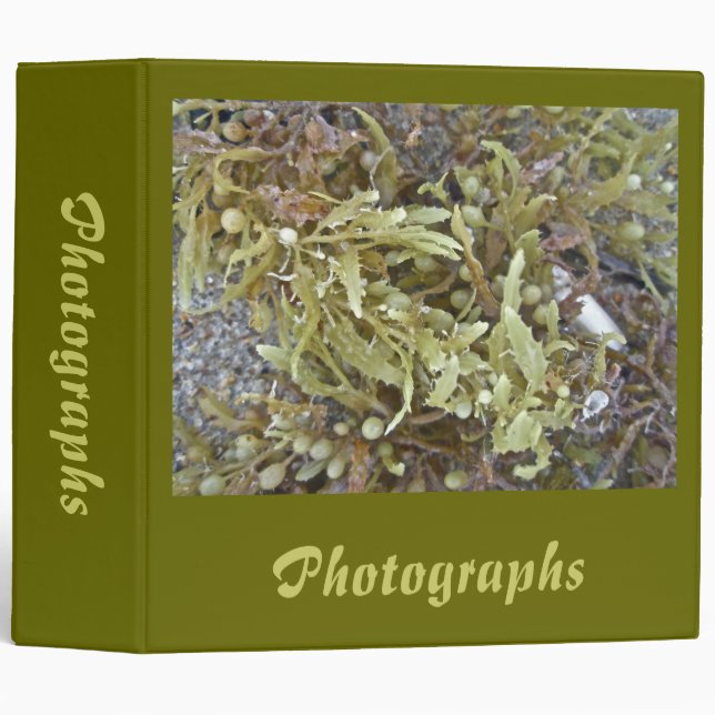 Seaweed Coordinating Items 3 Ring Binder (Front/Spine)