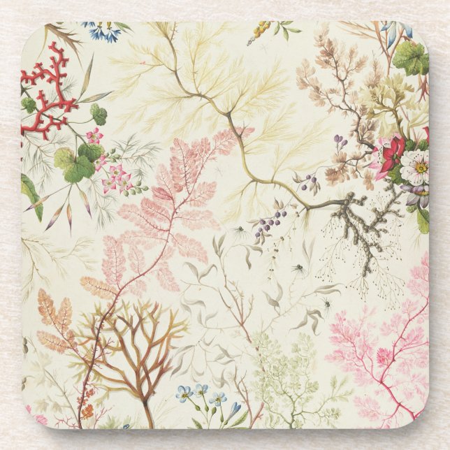 Seaweed design for silk material (w/c on paper) coaster (Front)