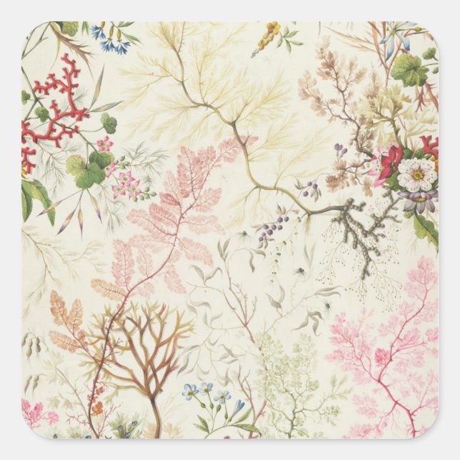 Seaweed design for silk material (w/c on paper) square sticker (Front)