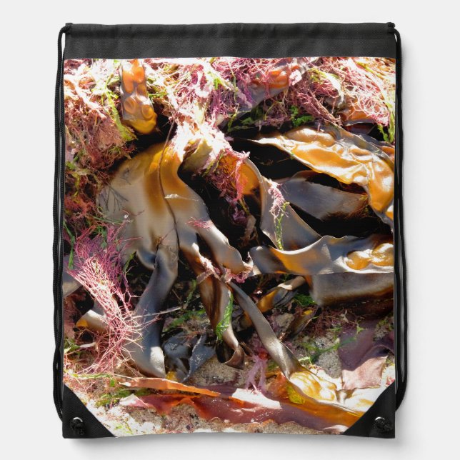 SEAWEED DRAWSTRING BAG (Front)