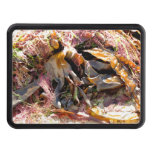 SEAWEED HITCH COVER