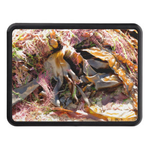 SEAWEED HITCH COVER
