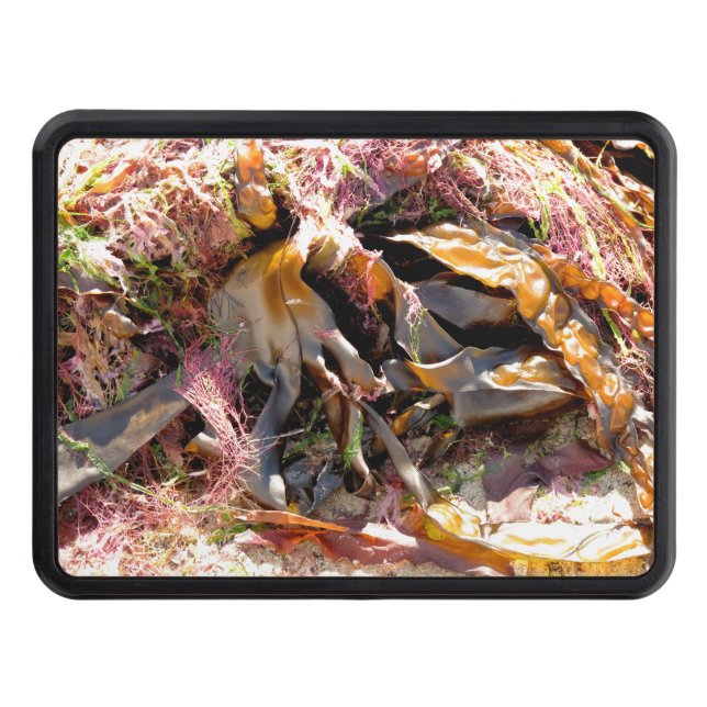 SEAWEED HITCH COVER (Front)
