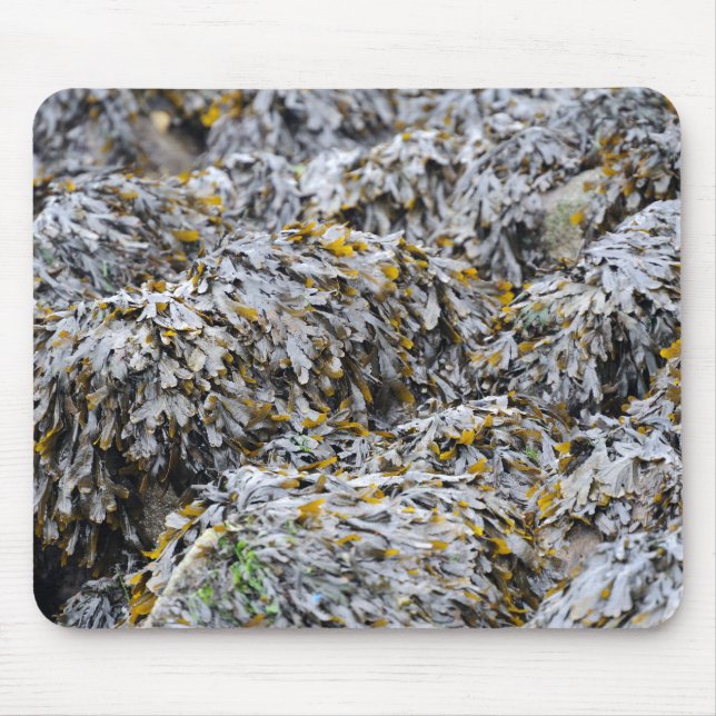 Seaweed Mouse Pad (Front)