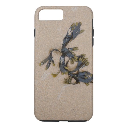 Seaweed on a Sandy Beach Cornwall England iPhone 8 Plus7 Plus Case