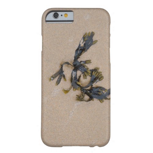 Seaweed on a Sandy Beach Cornwall England Barely There iPhone 6 Case