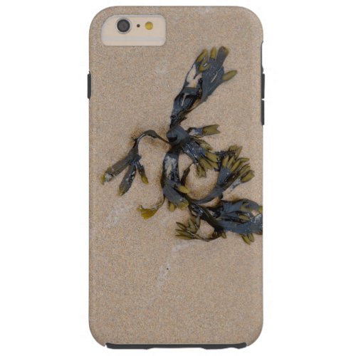 Seaweed on a Sandy Beach Cornwall England Tough iPhone 6 Plus Case