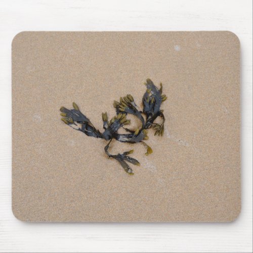 Seaweed on a Sandy Beach Cornwall England Mouse Pad
