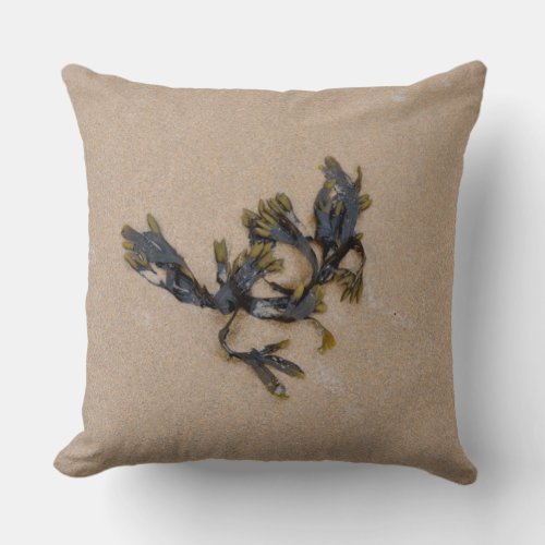 Seaweed on a Sandy Beach Cornwall England Throw Pillow