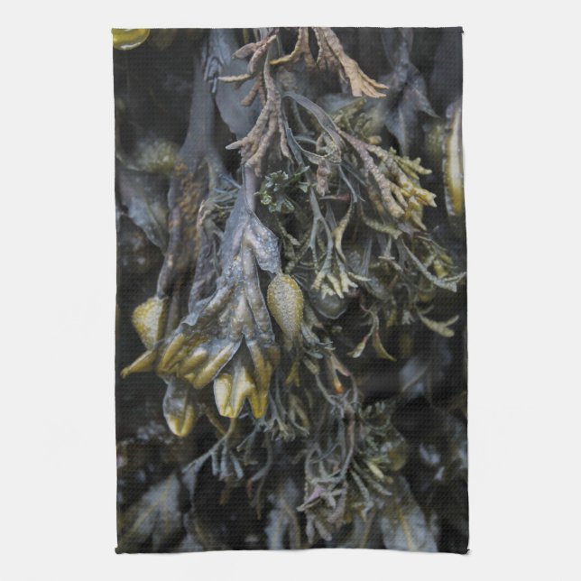 Seaweed. Towel (Vertical)