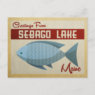 Sebago Lake Maine Fish Vintage Travel Postcard