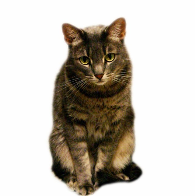 Sebastian Cutout (Front)