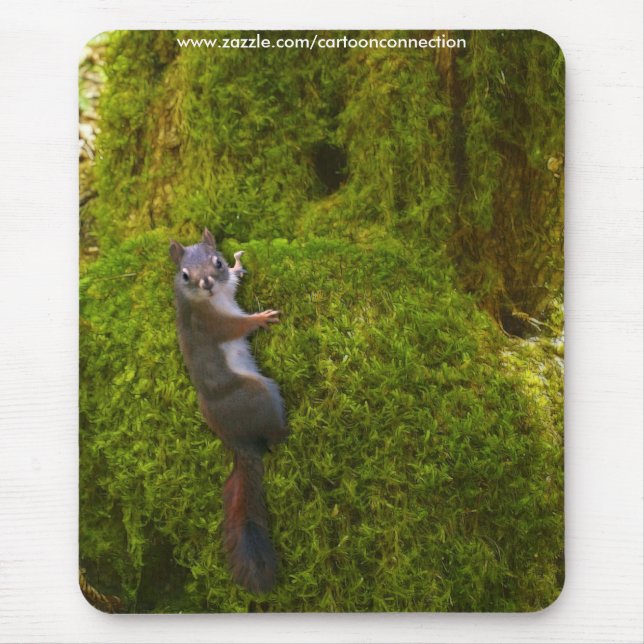 SEBASTIAN SQUIRREL KIDS Gifts Mouse Pad (Front)