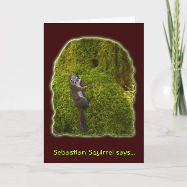SEBASTIAN SQUIRREL Note Cards (Front)