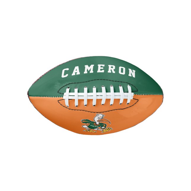 Sebastian The Ibis Football (Front)