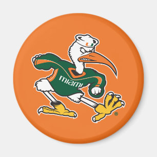 Sebastian The Ibis Magnet