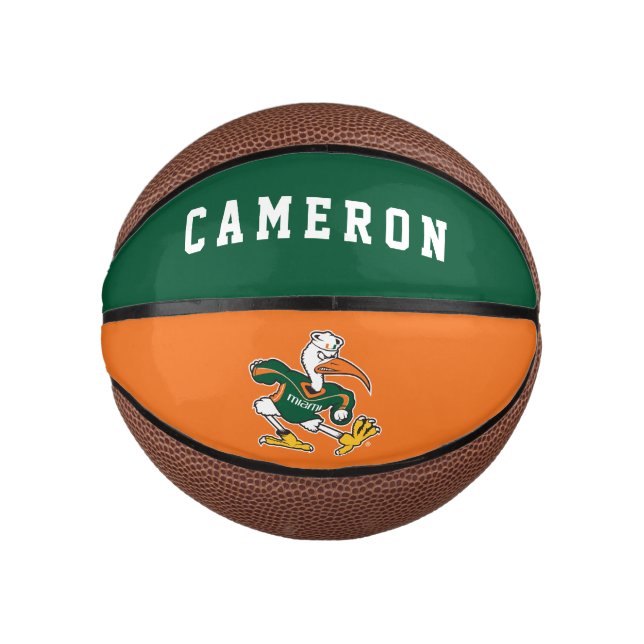 Sebastian The Ibis Mini Basketball (Front)