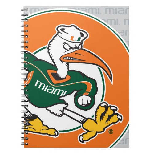 Sebastian The Ibis Notebook