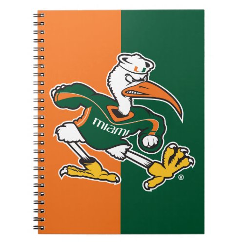 Sebastian The Ibis Notebook