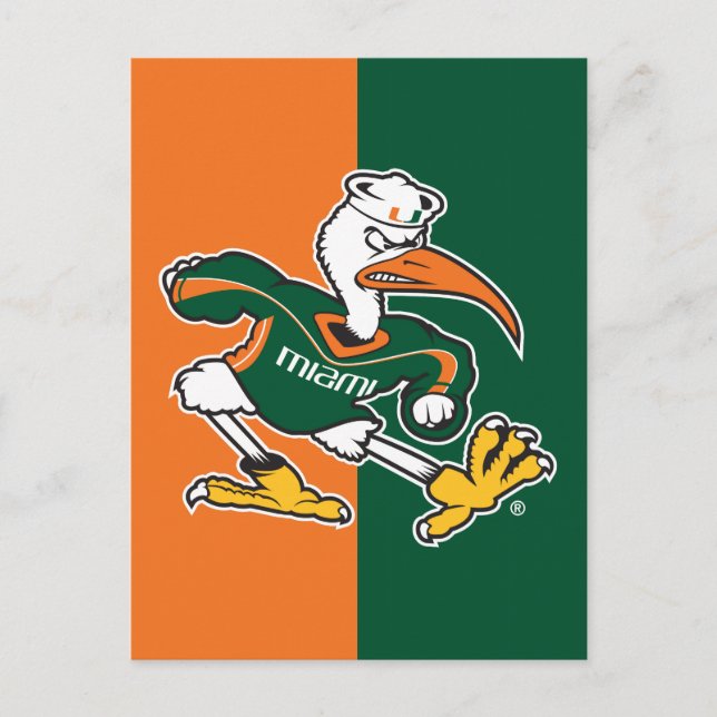 Sebastian The Ibis Postcard (Front)