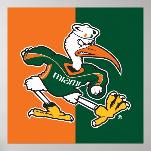 Sebastian The Ibis Poster (Front)