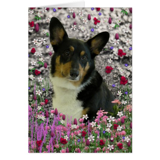Sebastian the Welsh Corgi in Flowers (Front)