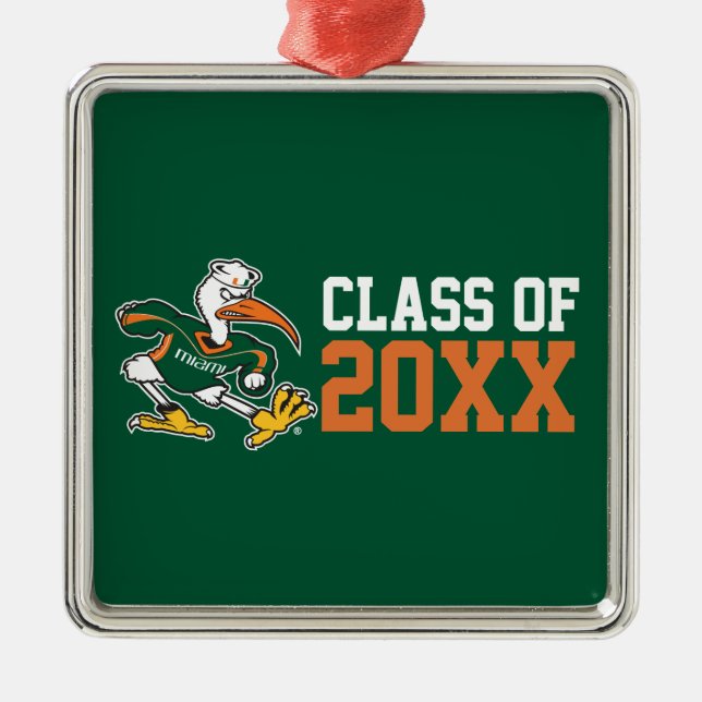 Sebastian with Class Year Metal Ornament (Front)