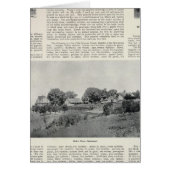 Sebastopol, California (Front)